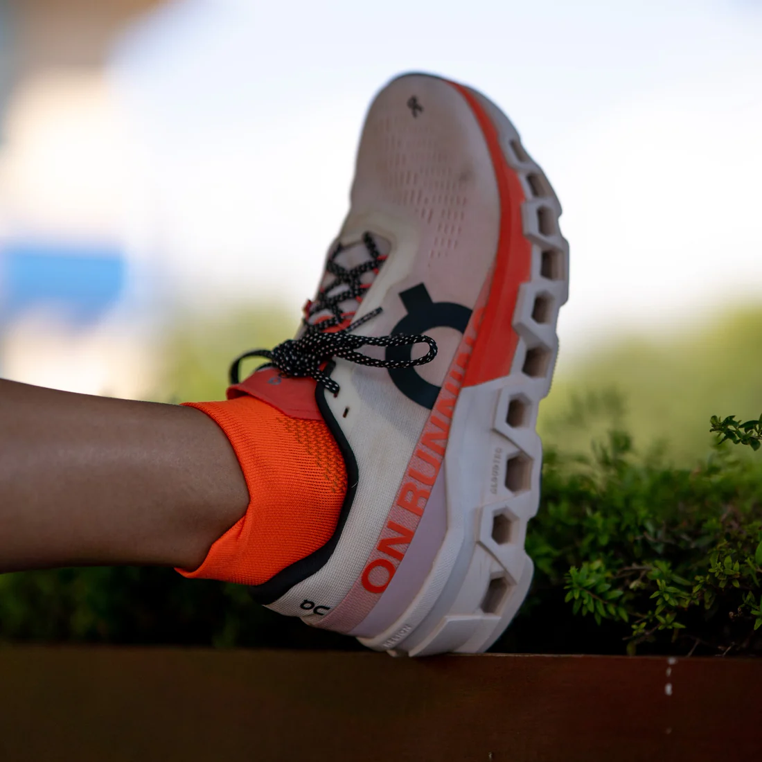 Носки для бега SPORCKS NOOSA V2, оранжевый